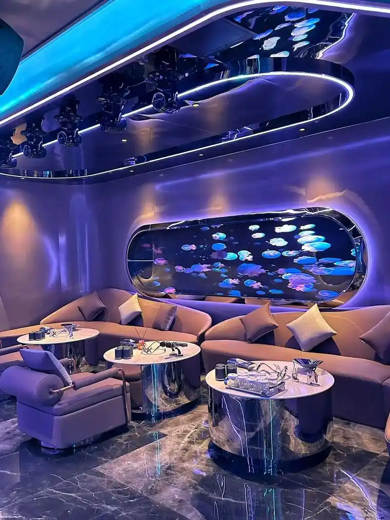 安庆商务ktv及商务ktv啥意思介绍-宜秀区ktv预订